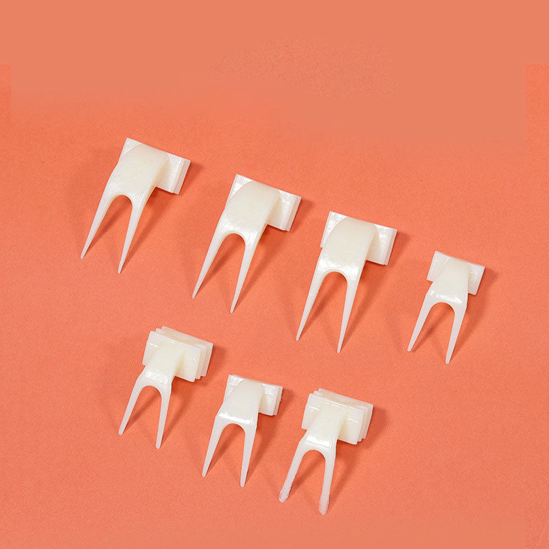 Pet Parrot Fruit Fork