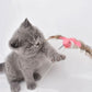 Electric Butterfly Hummingbird Cat Teaser Stick