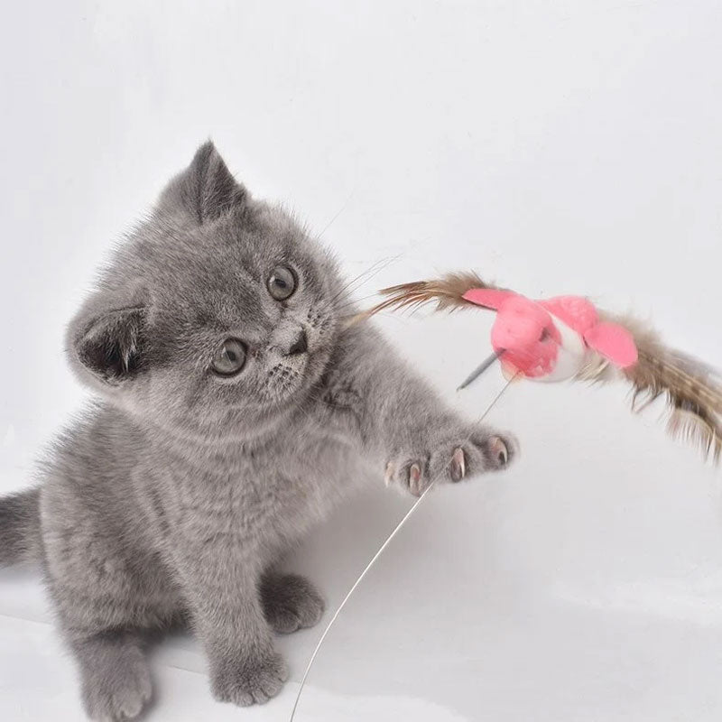 Electric Butterfly Hummingbird Cat Teaser Stick