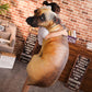 3D Simulation Dog Pillow