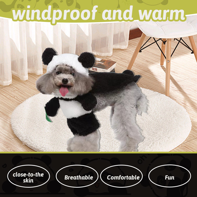 Funny Costumes For Pet Dogs