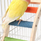 Parrot Climbing Rope Ladder Wood