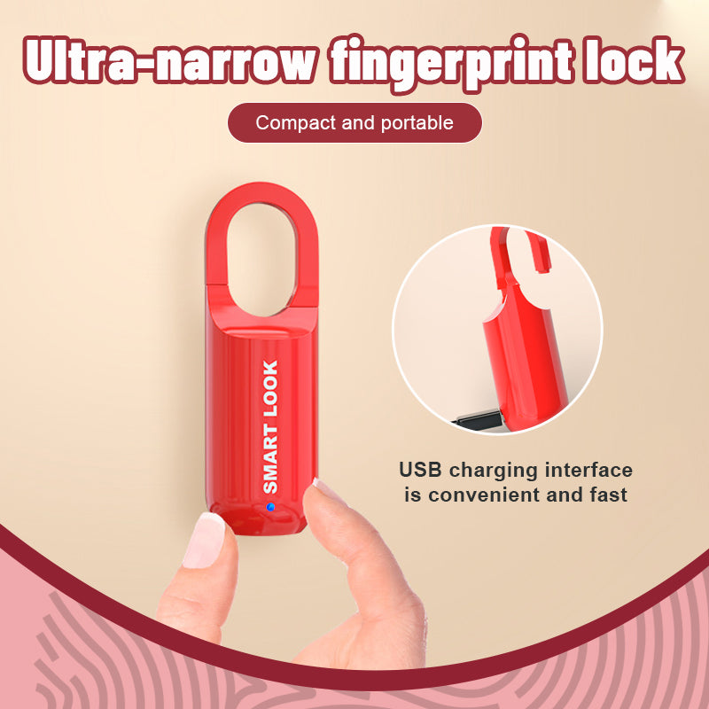 Mini Smart Fingerprint Lock