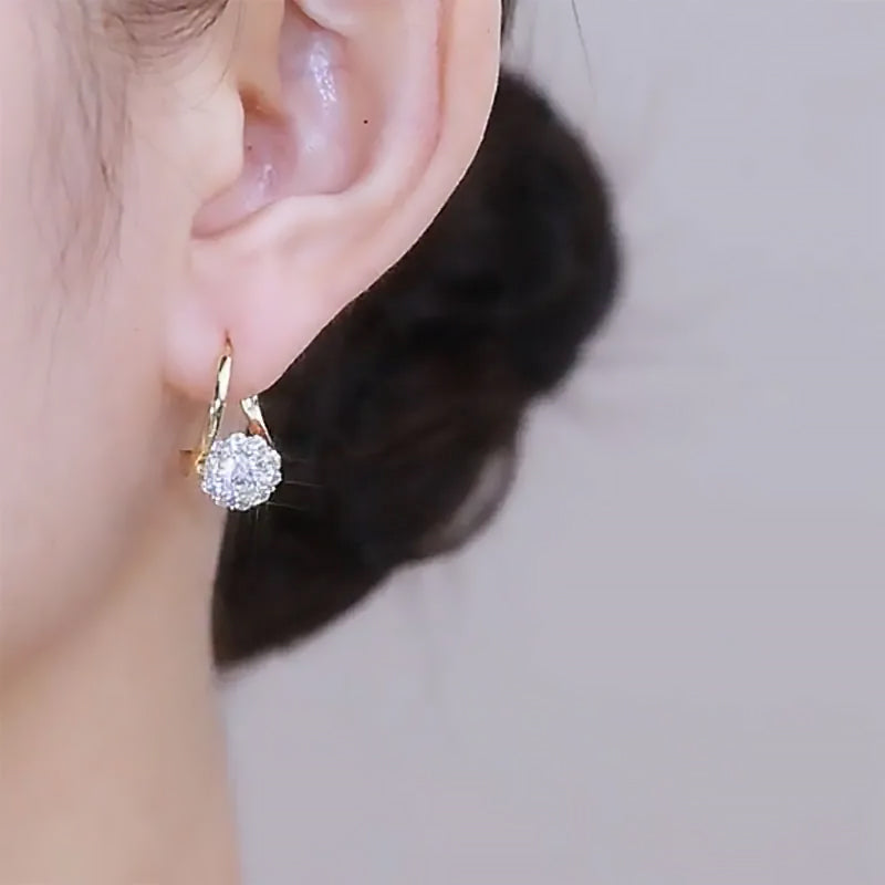 🎄Christmas Hot Sale✨Rotatable Zircon Earrings