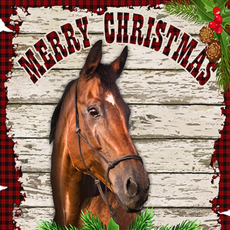 Einfarbiges Korrekturpolster für die Lendenwirbelsäule