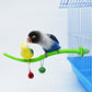 Parrot Cage Corner Stand Standing Toy Supplies