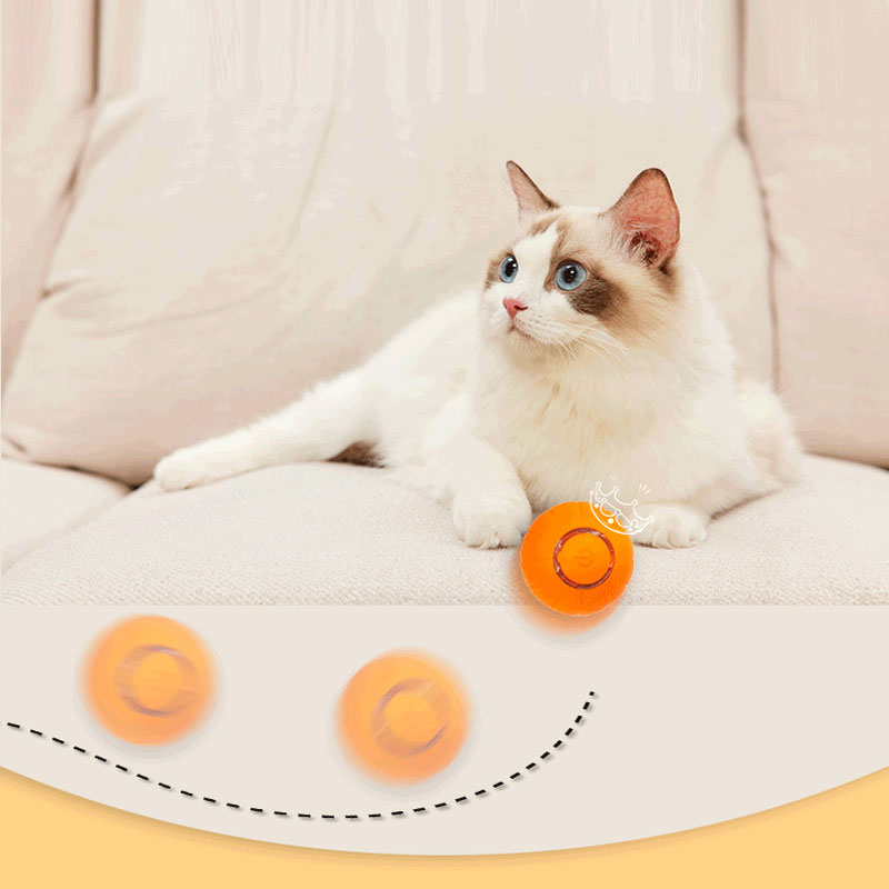 Pet Automatic Bouncing Ball