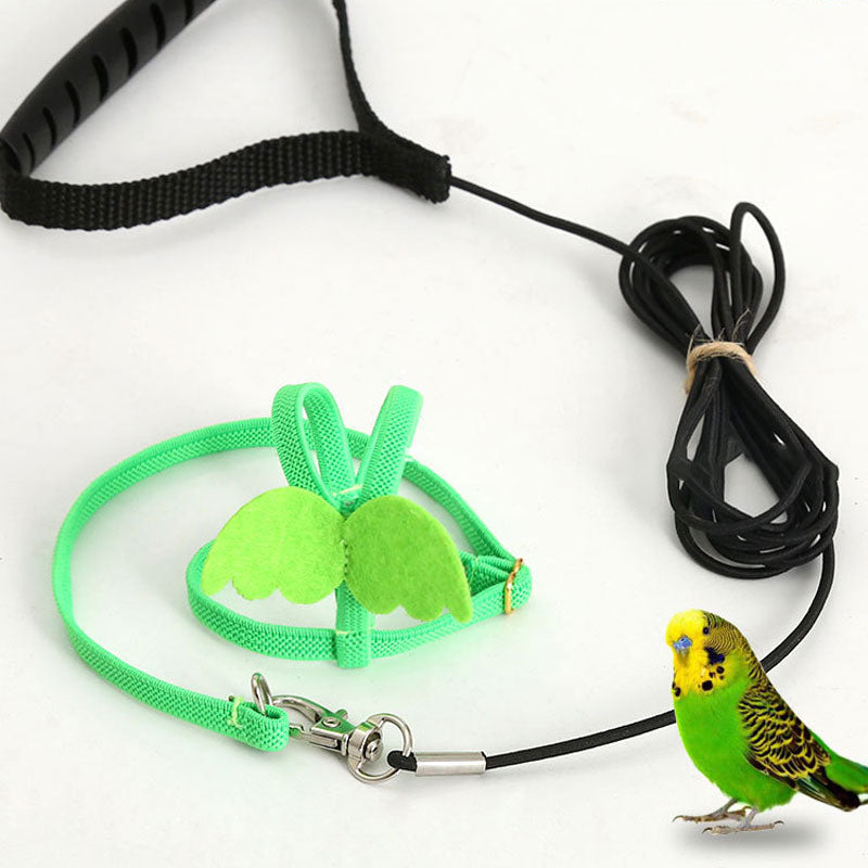 Parrot Flying Rope