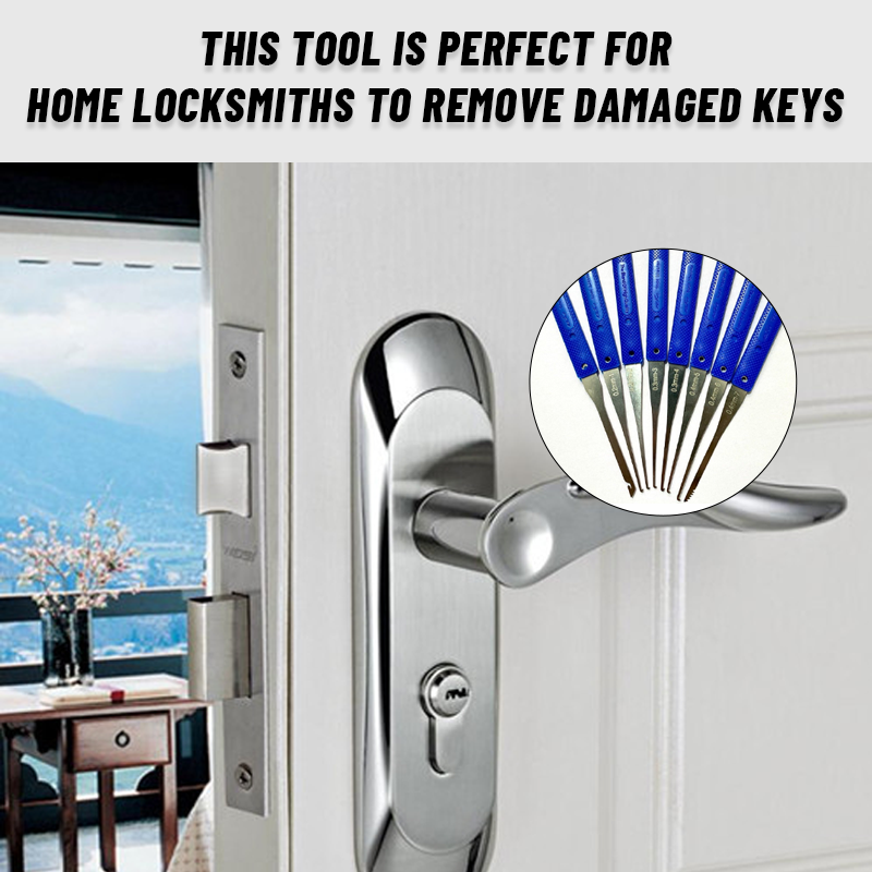Professional Anti-Theft Door Key Extractor (12pcs)