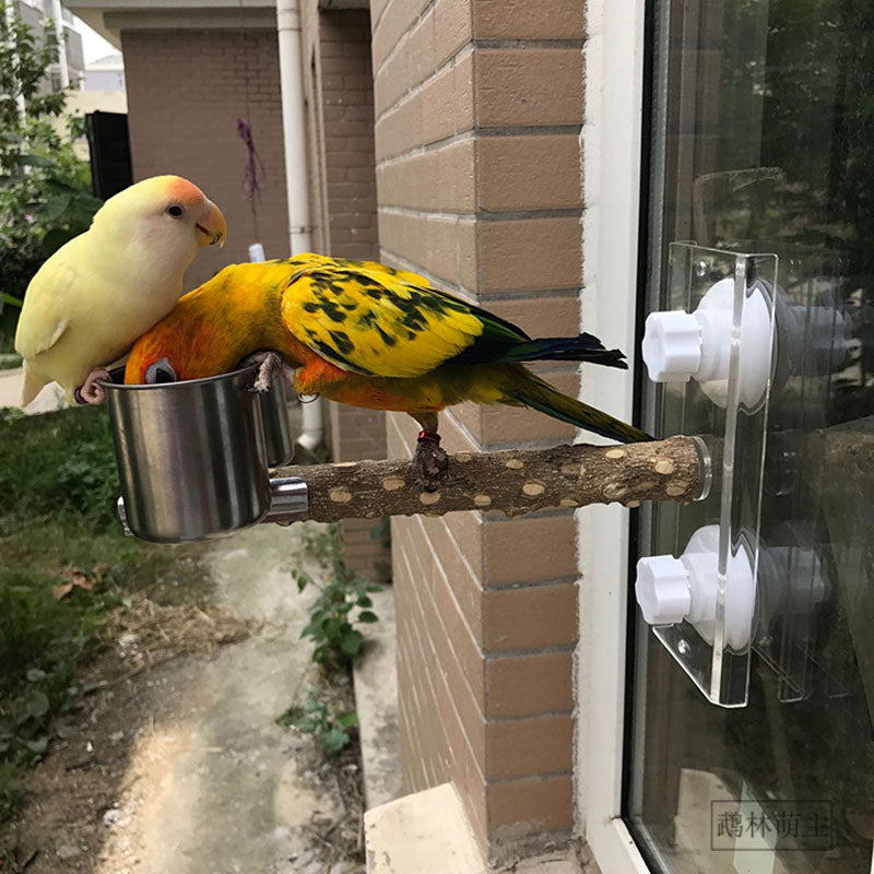 Parrot Sucker Pepper Wood Stand