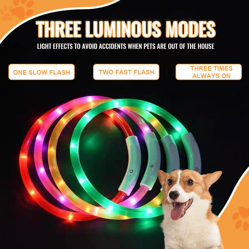 LED Pet Light-Up Collar