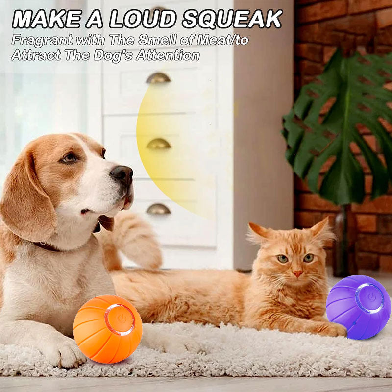 Pet Automatic Bouncing Ball