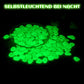 Fluoreszierende Kieselsteine/Fluorescent Pebbles