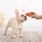 Pet Teeth Grinding Sound Toy Ball