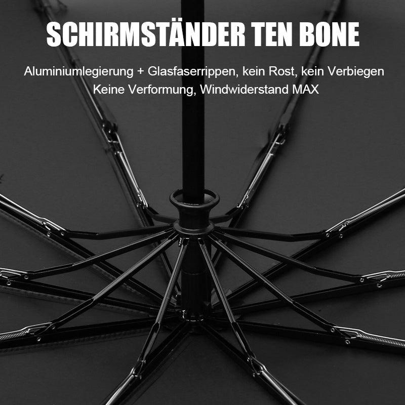 Auto winddichter Sonnenschutz-Klappschirm/car umbrella