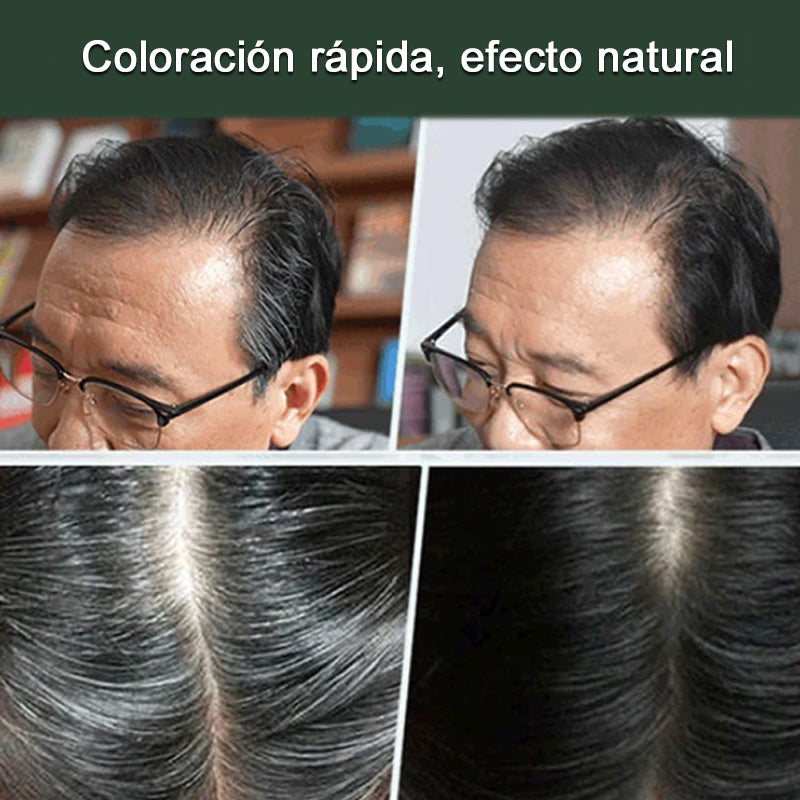 Peine para teñir el pelo Fruit Essence/Fruity hair dye comb