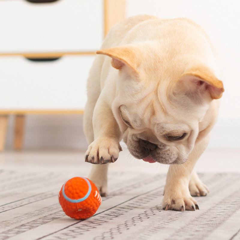 Pet Teeth Grinding Sound Toy Ball