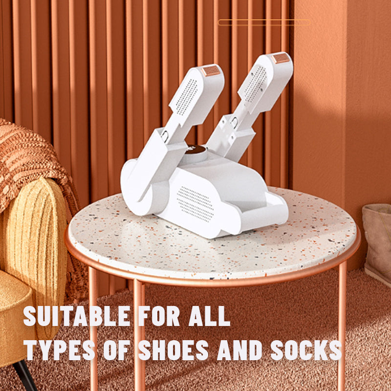 Sterilization And Deodorization Smart Shoe Dryer