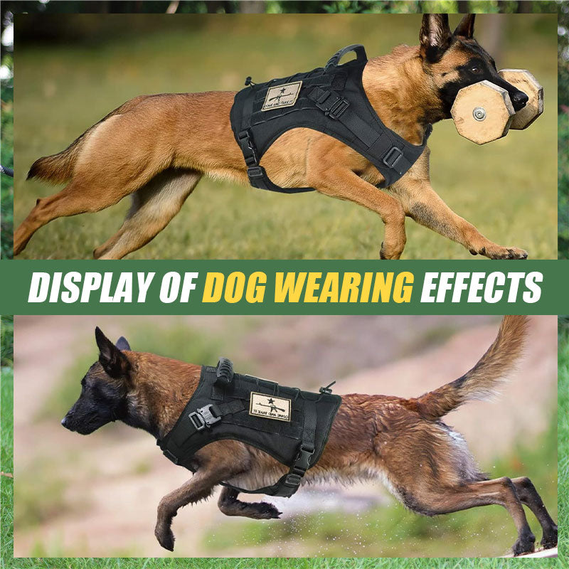 Medium To Large Dog Tactical Harness