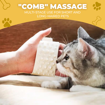 Pet Double-Sided Hair Removal Gloves