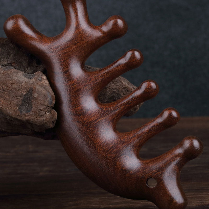 Five Teeth Meridian Comb