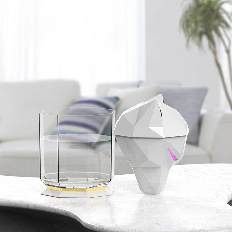 Household Hydrating Air Humidifier