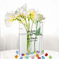 Transparent Book Vase