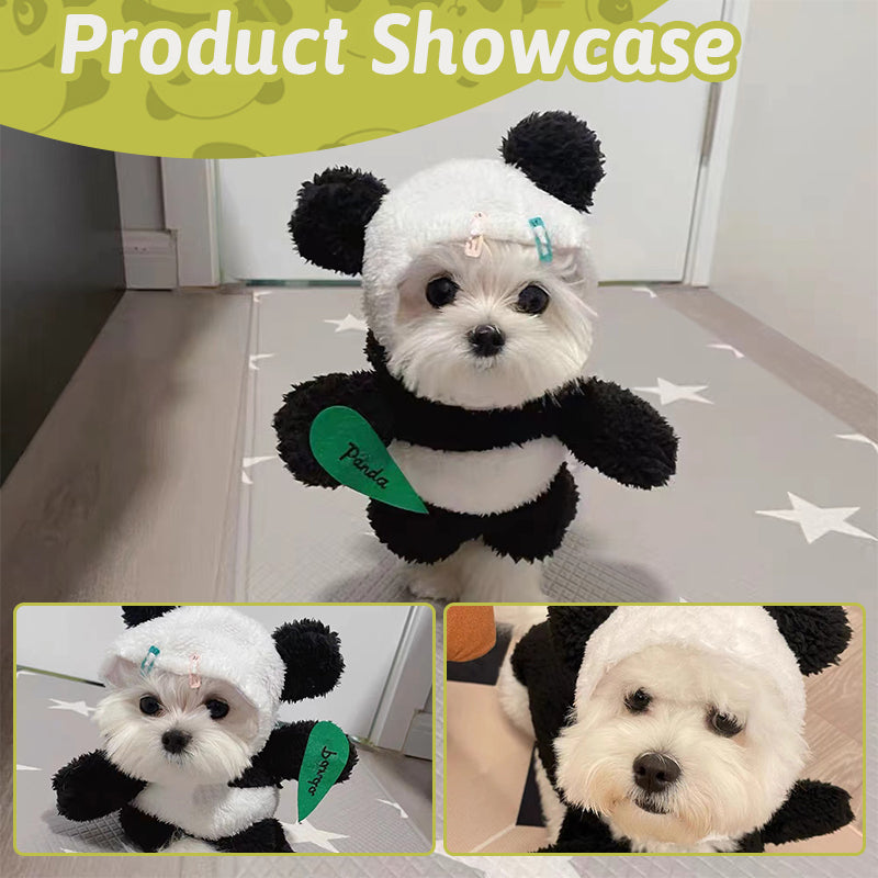 Funny Costumes For Pet Dogs