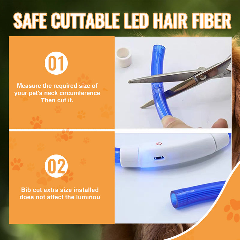 LED Pet Light-Up Collar