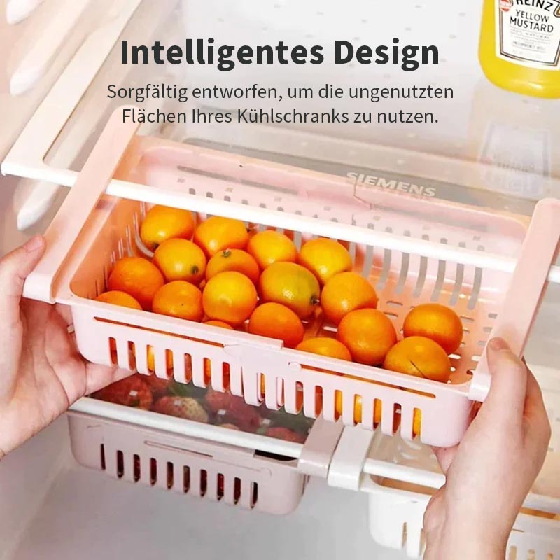 Aufbewahrungsregal für Kühlschrank / Fridge storage rack