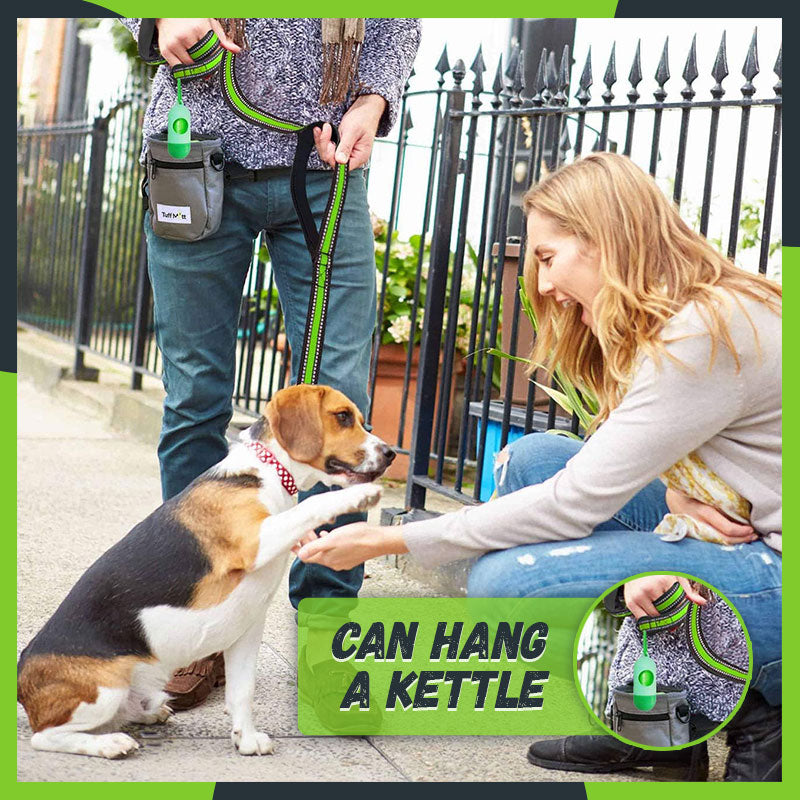 Explosion-Proof Punch Retractable Pet Leash