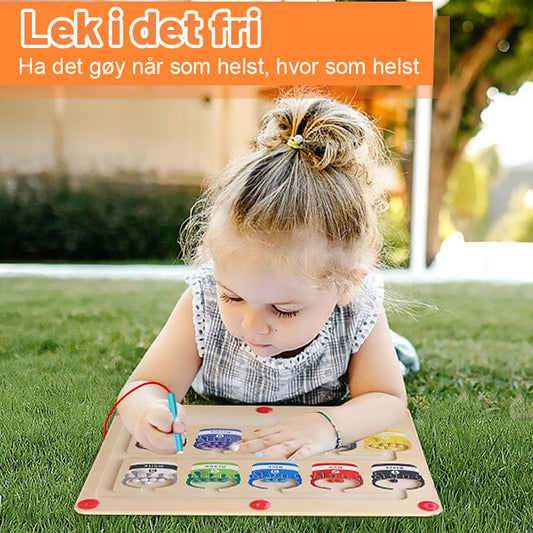 Magnetisk Farge Og Talllabyrint/Children's educational magnetic bead maze