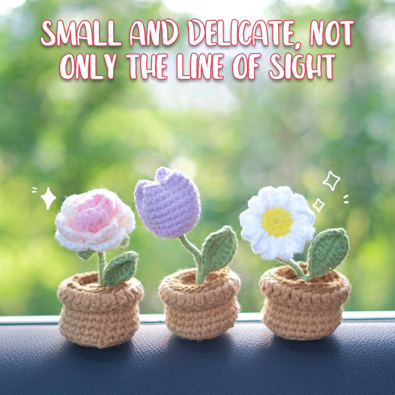 Handwoven Diy Mini Potted Decorations