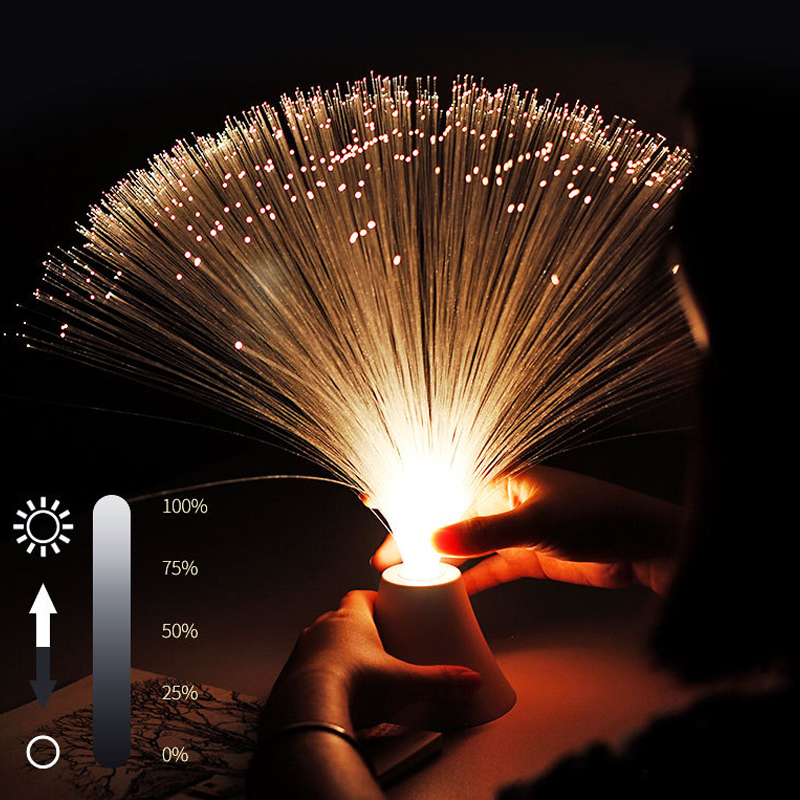 Glasfaserlicht Sternenhimmel Nachtlicht/Fiber optic starry night light