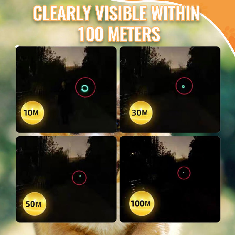 LED Pet Light-Up Collar