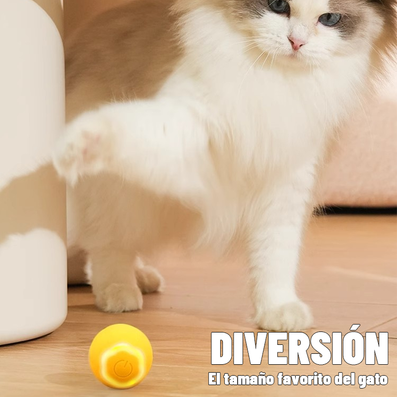 Juguete De Bola Rodante Para Mascotas/pet rolling ball