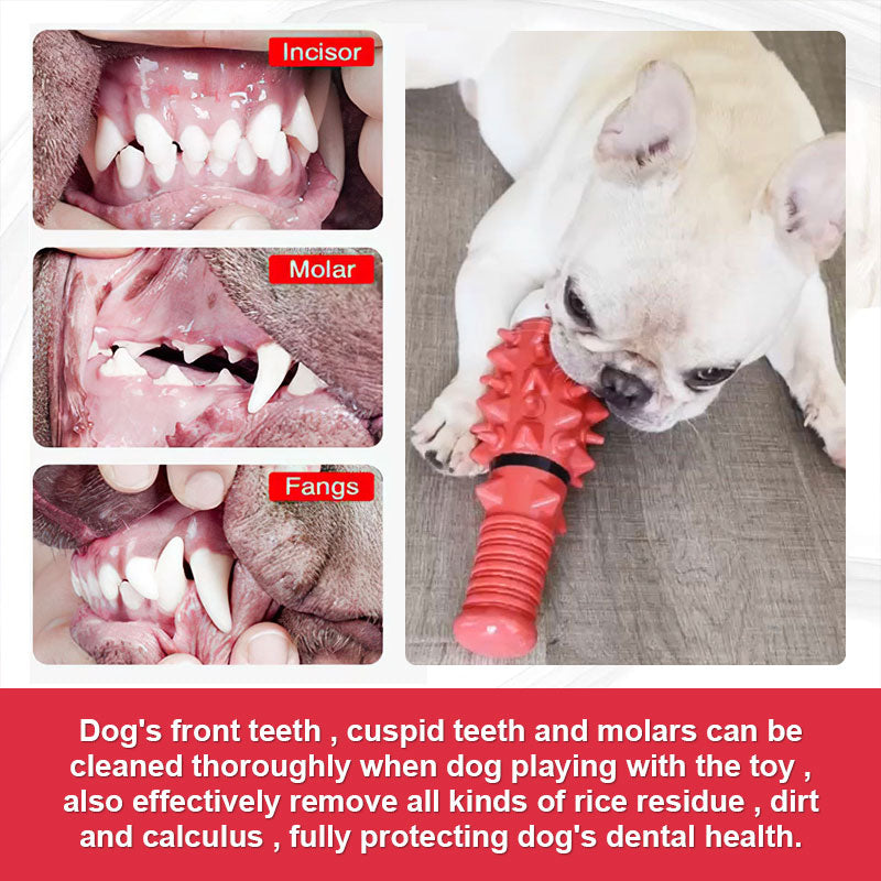 Baseball Pet Chewing Toy