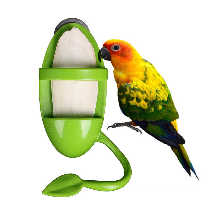 Can Put Cuttlefish Skeleton Food Box