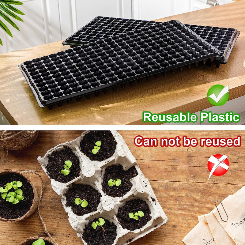 Seedling Tray🌱
