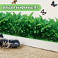 Veggklistremerke Med Liten Plenfotlist/Small grass skirting wall stickers