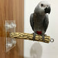 Parrot Sucker Pepper Wood Stand