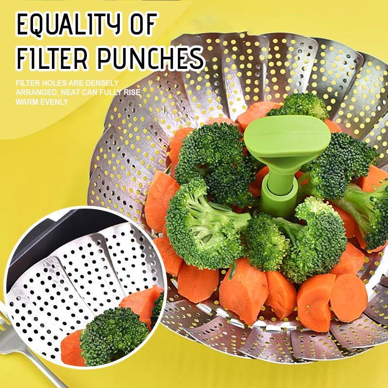 Stainless Steel Steamer