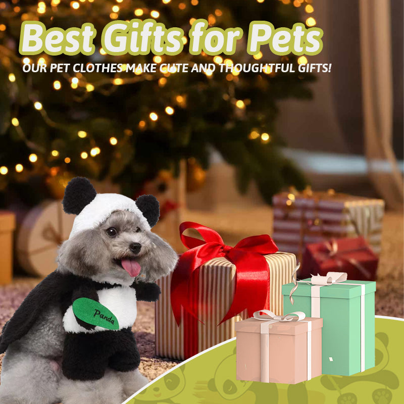 Funny Costumes For Pet Dogs