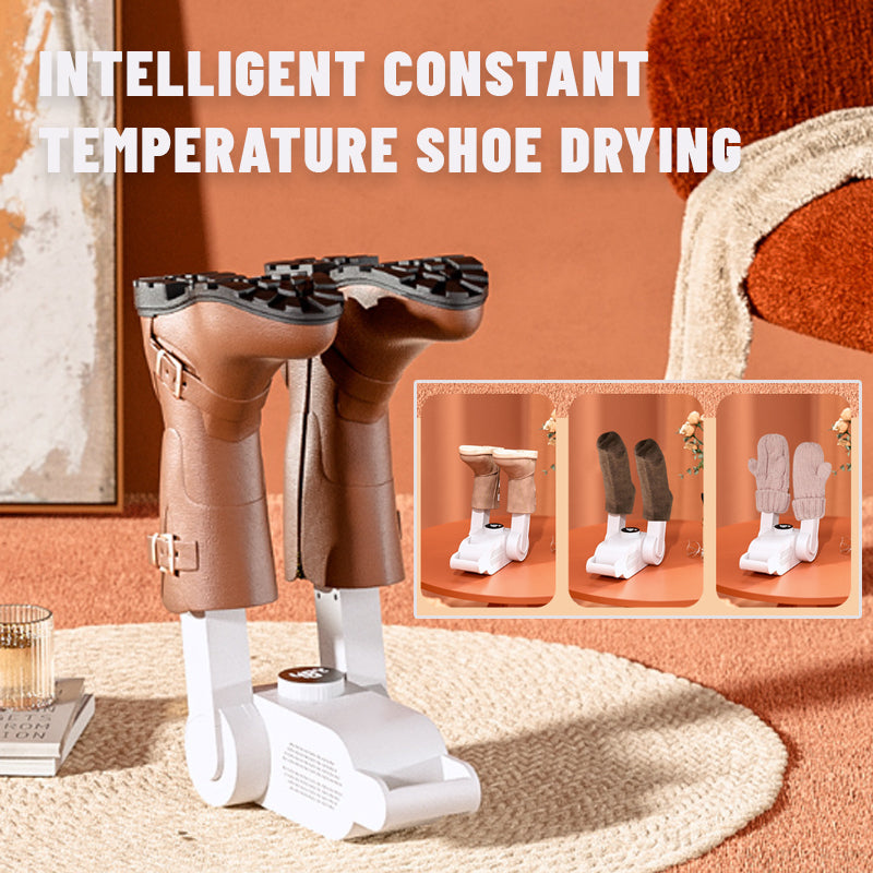 Sterilization And Deodorization Smart Shoe Dryer