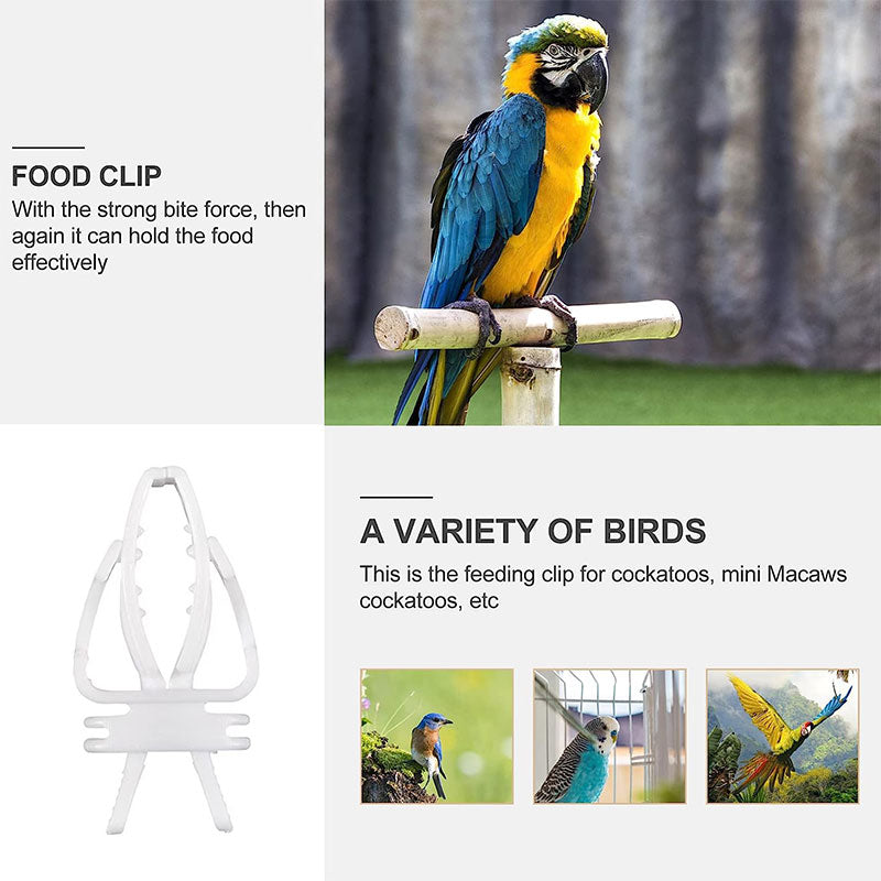 Parrot Fruit And Vegetable Tongs（2pcs)