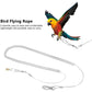 Parrot Flying Leash
