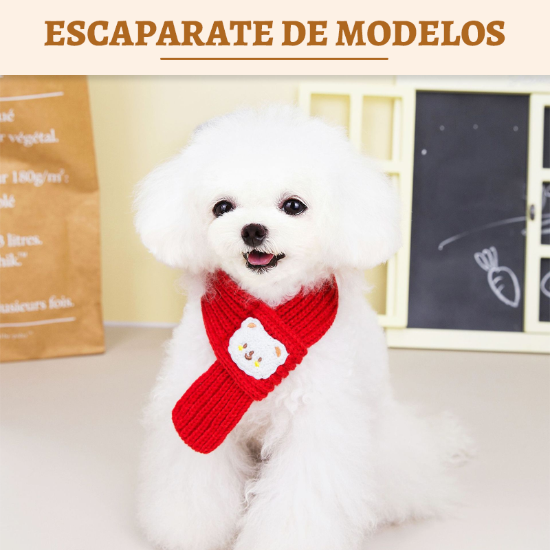 Bufanda de Oso Doméstico/cat scarf