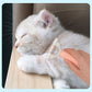 Self Cleaning Pet Comb