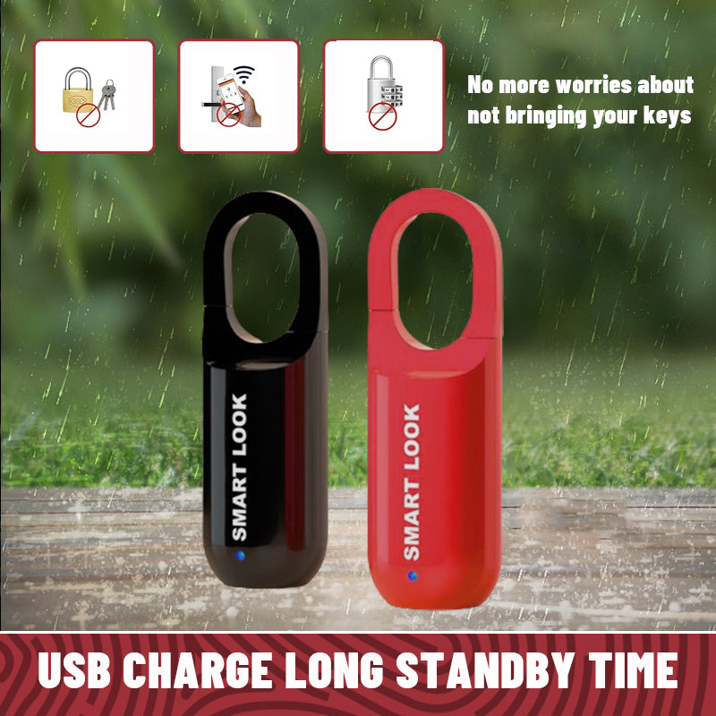 Mini Smart Fingerprint Lock