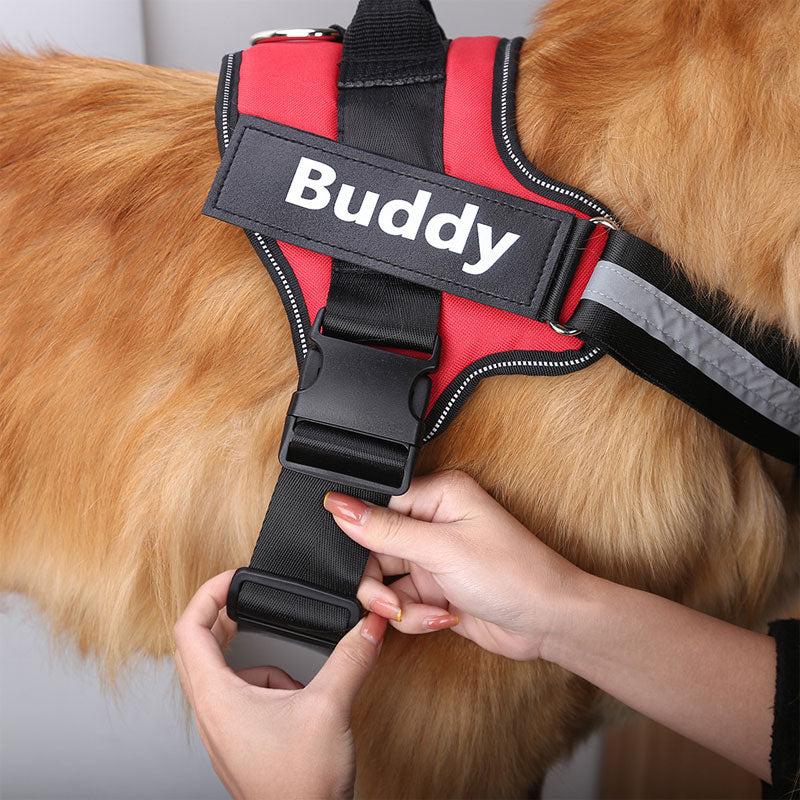 Non-Pull Dog Harness!❤️🐶